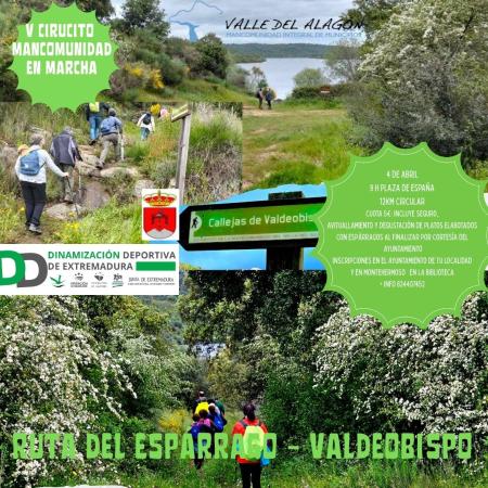 Imagen ABIERTO EL PLAZO DE INSCRIPCIONES PARA LA RUTA DEL ESPÁRRAGO EL 4 DE ABRIL